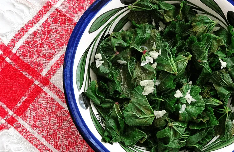 Blog Image - Ebegumeci - Mallow