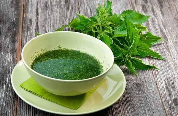 Blog Image - Isirgan - Nettle