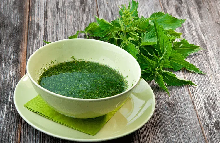 Blog Image - Isirgan - Nettle