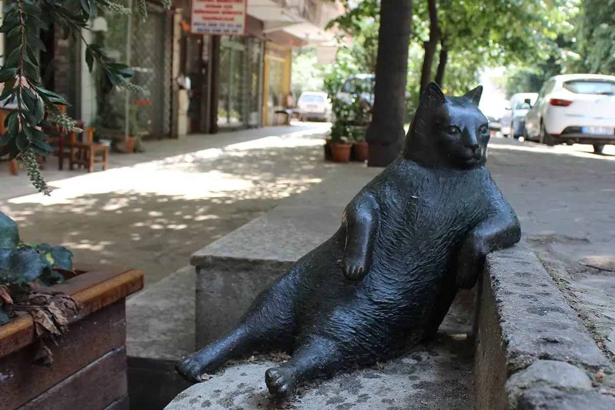 Blog Image - Online Cats of Istanbul