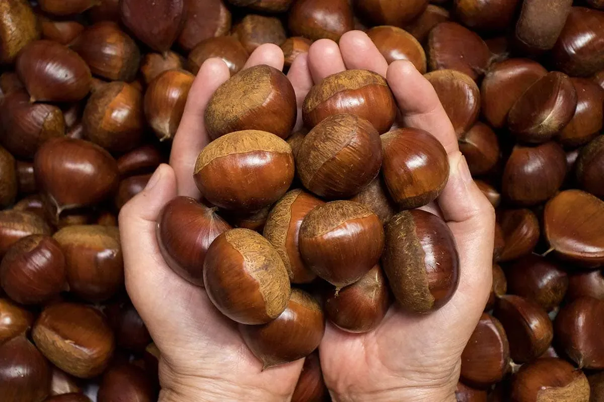 Blog Image - 4. Aydın’s Chestnuts