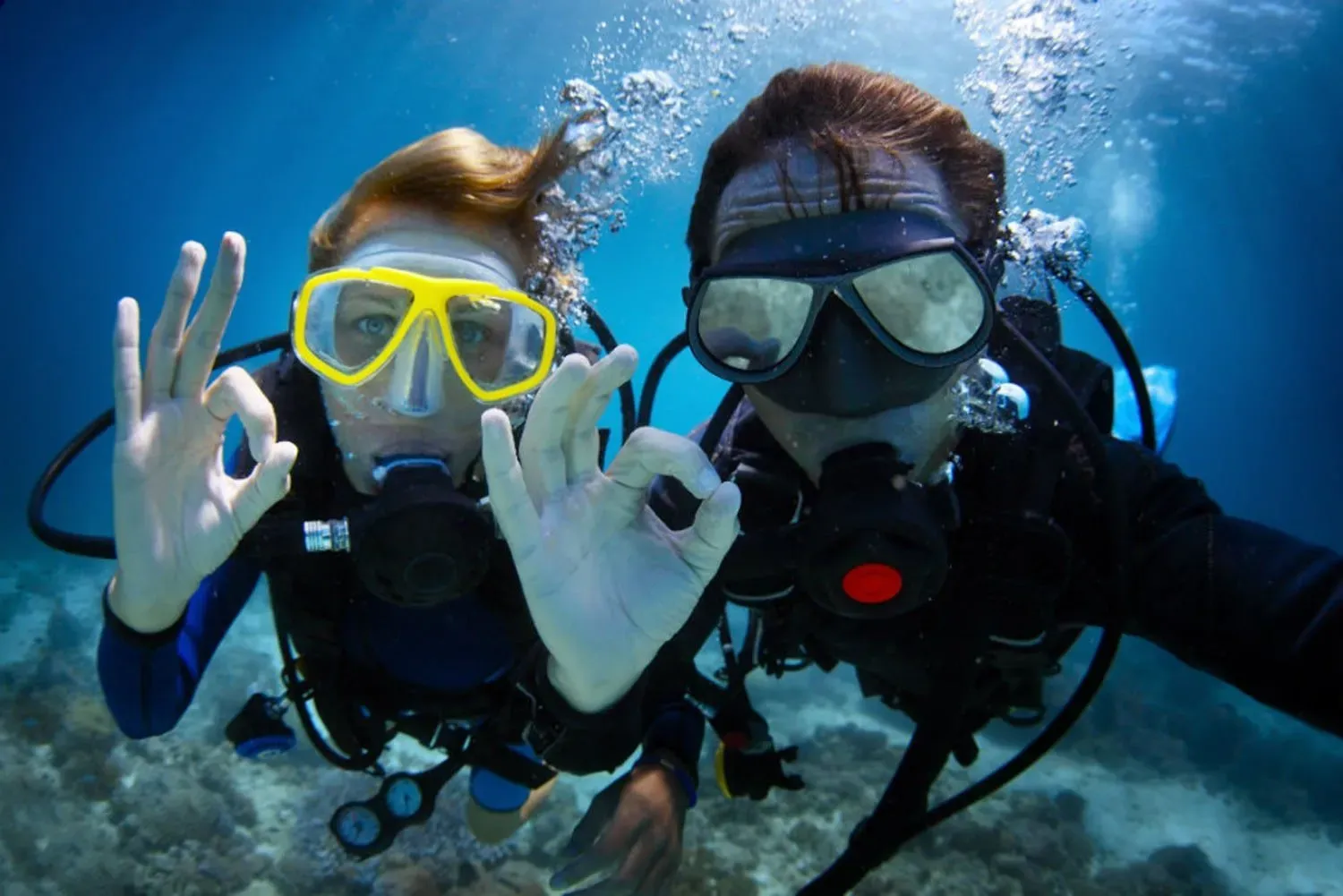 Blog Image - 1. Dive down to a Dakota DC-3 aeroplane on the Mediterranean seabed.