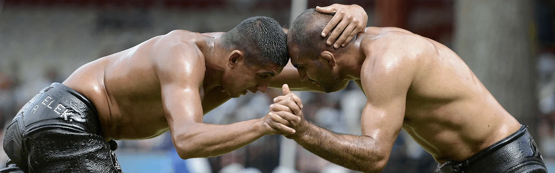 Hero Image - Kırkpınar Oil Wrestling Festival