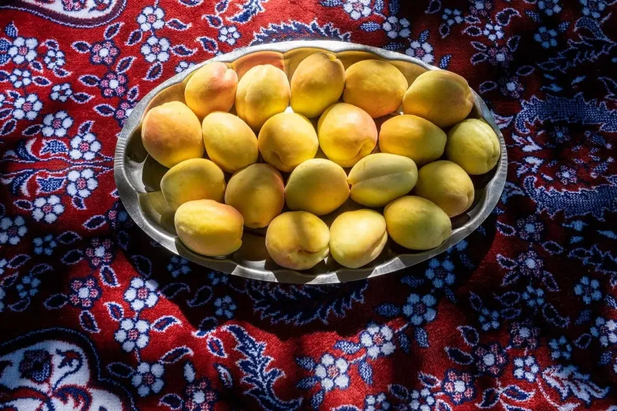Blog Image - 3. Malatya’s Apricots