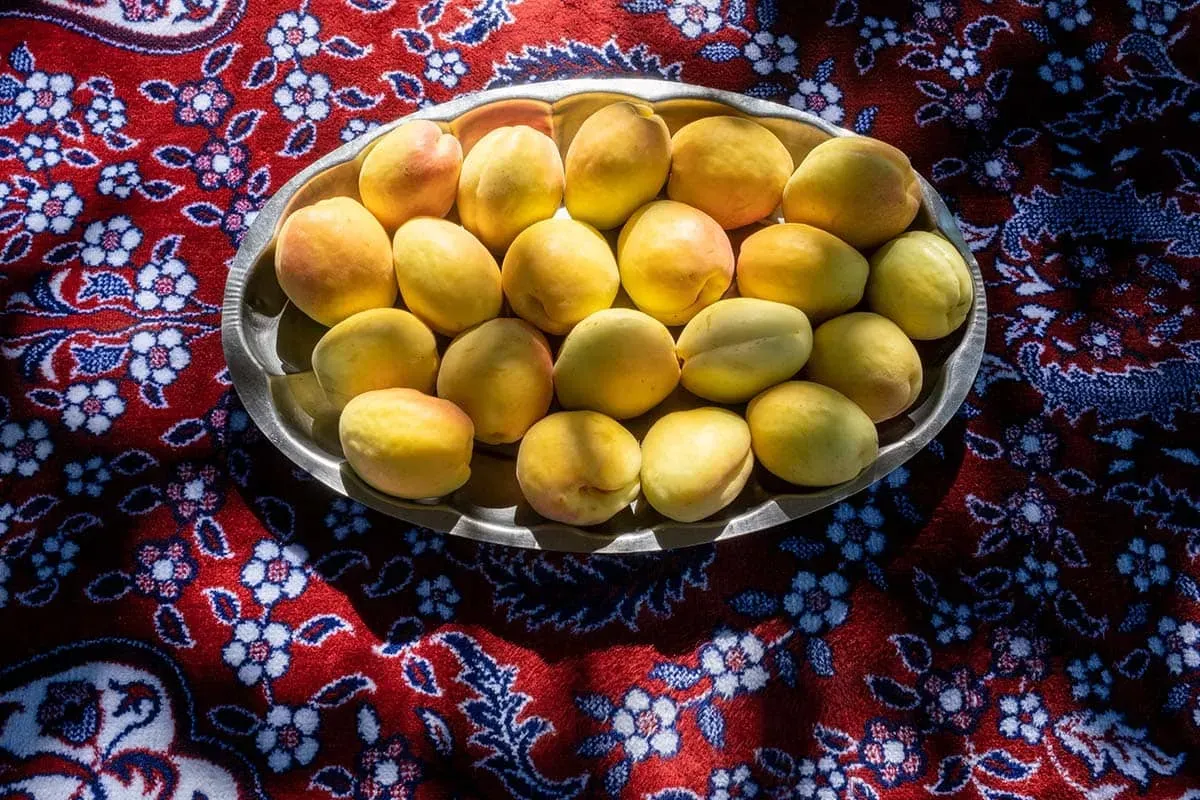 Blog Image - 3. Malatya’s Apricots
