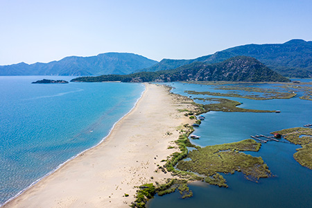Meta Image - İztuzu Beach: Witness the Caretta Caretta's Magnificent Journey
