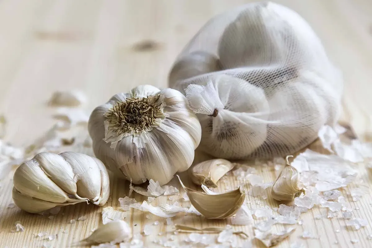 Blog Image - 5. Taşköprü Garlic
