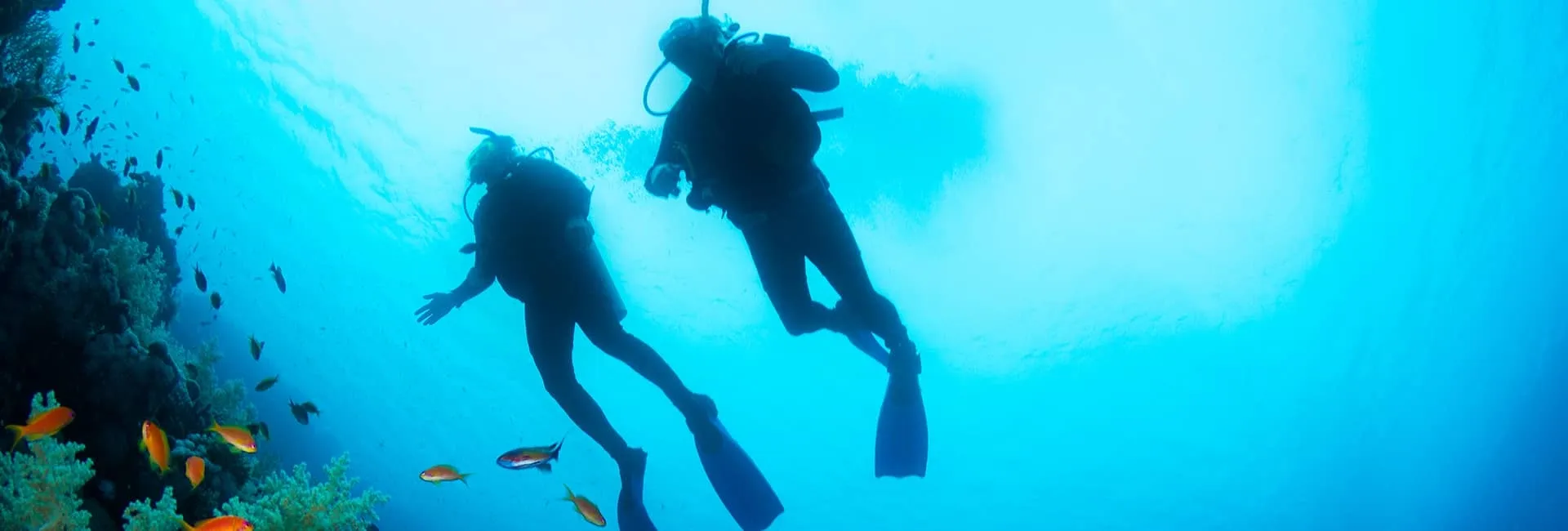 Hero Image - Top 10 Diving Destinations in Türkiye
