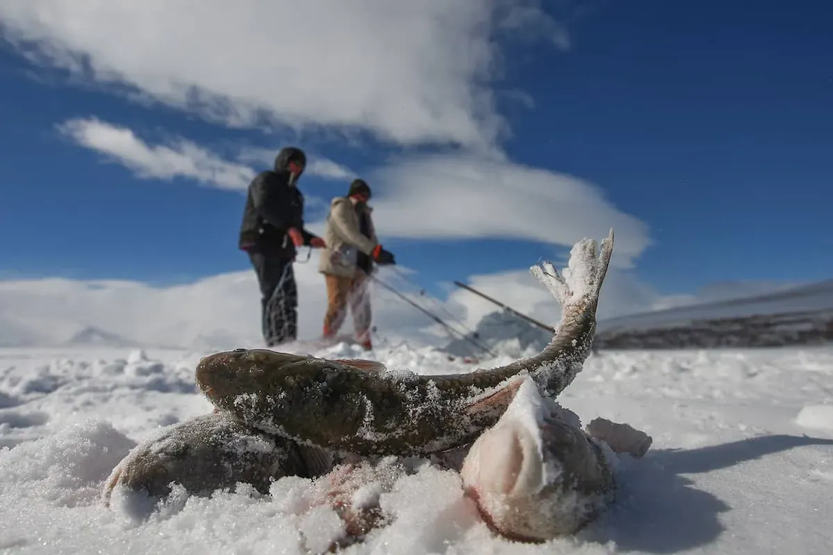 Blog Image - Ice fishing