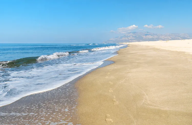 Blog Image - Patara National Park: