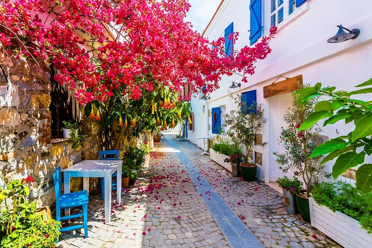 Blog Image - Local Cuisine: Taste of the Aegean