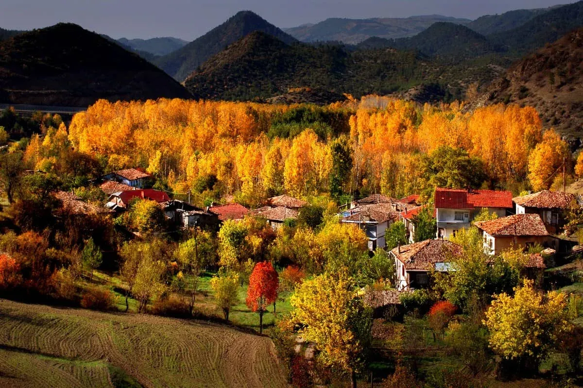 Blog Image - Taraklı: Heaven for Calm Souls