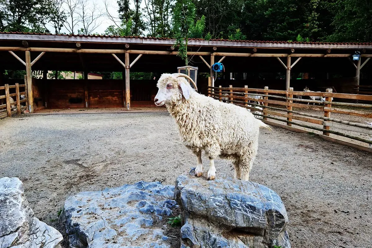 Blog Image - Time For Fun: Kocaeli’s Ormanya Nature Park