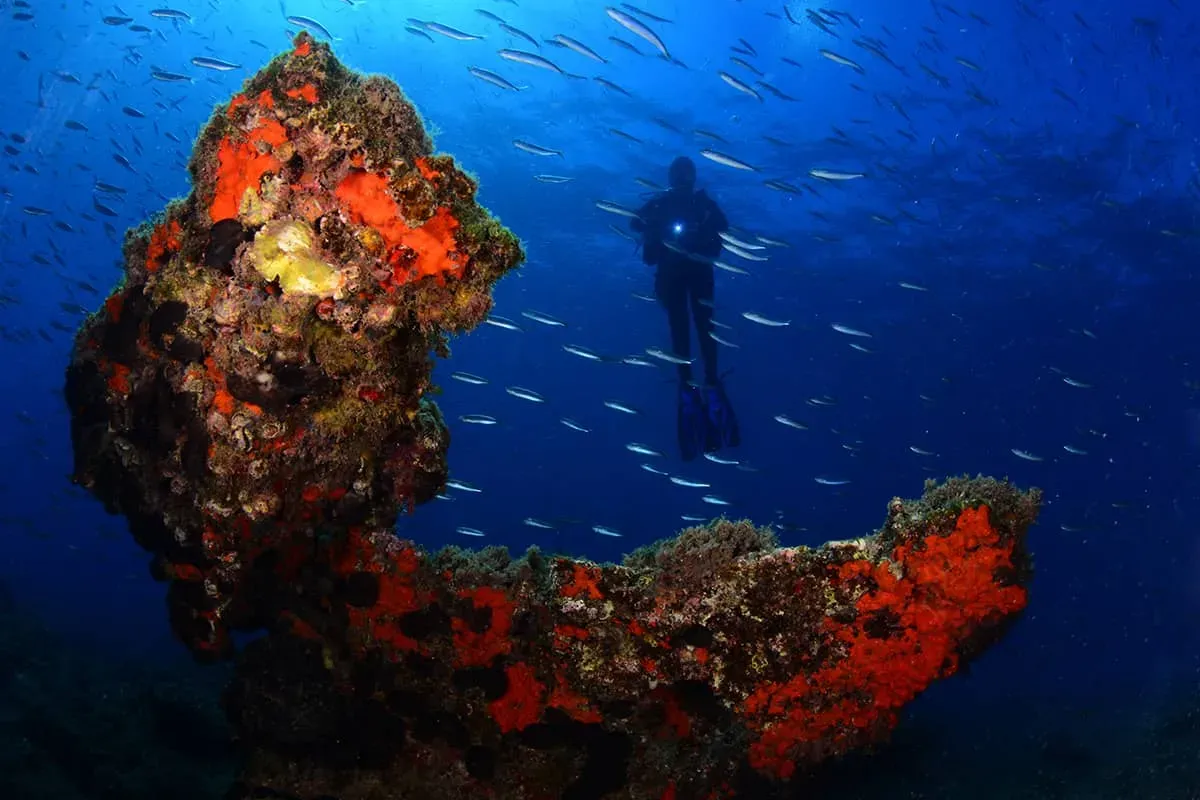 Blog Image - Kuşadası