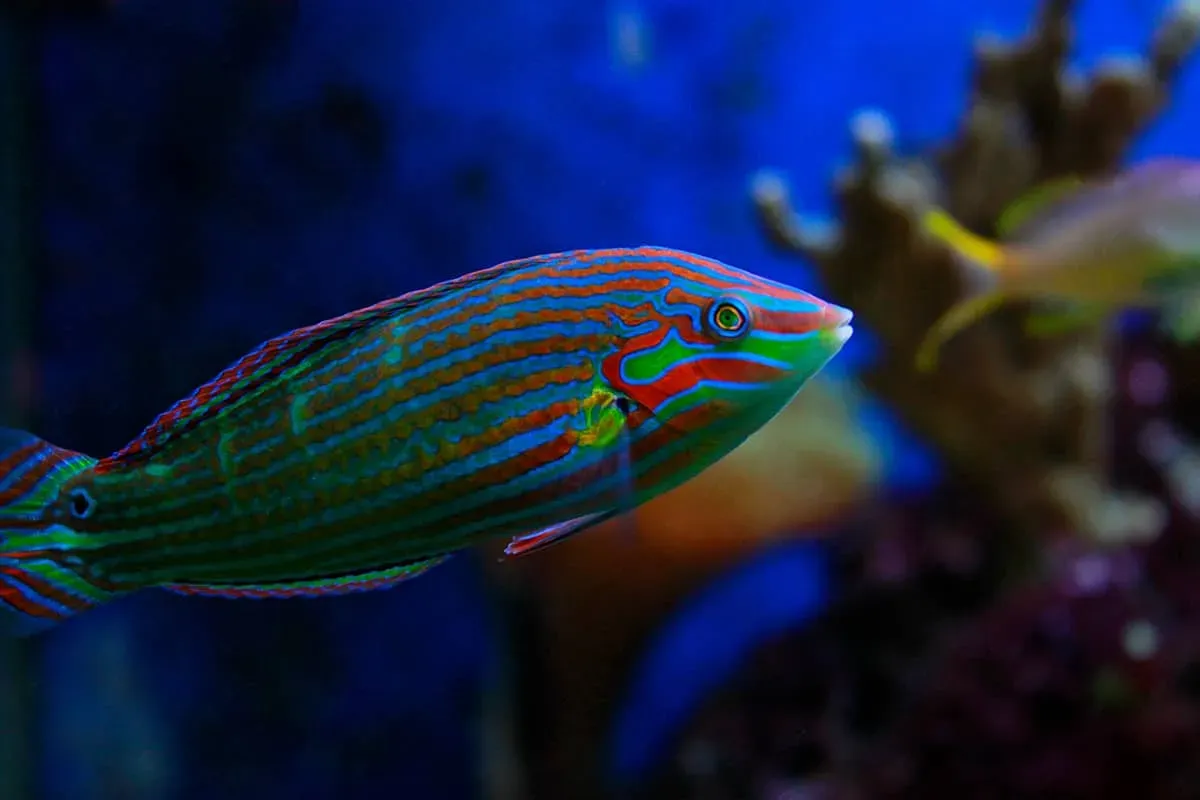 Blog Image - Marmaris