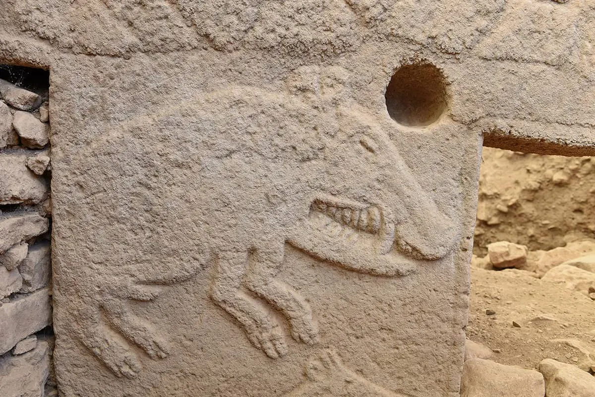 Blog Image - The Humanity’s First Steps