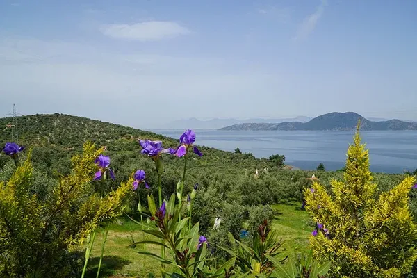 Blog Image - Trekking through ancient cities: Bafa Lake and Latmos