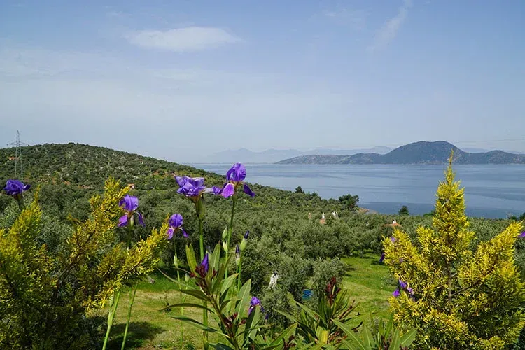 Blog Image - Trekking through ancient cities: Bafa Lake and Latmos
