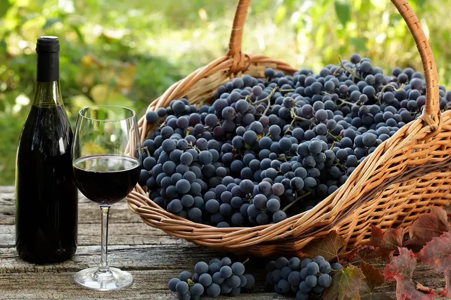 Blog Image - Kocabağ Winery