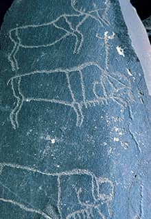 Rock Paintings