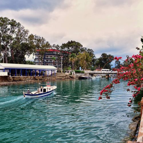 Arsuz