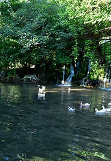 Harbiye