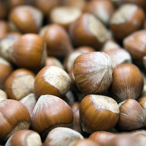 Hazelnut