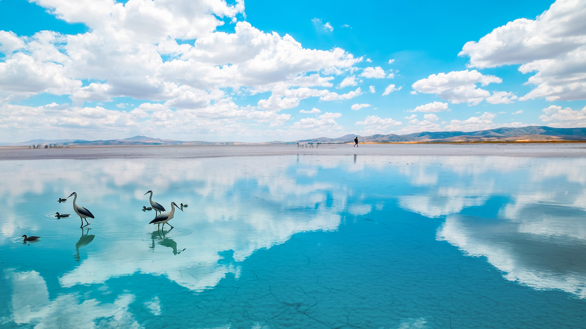Birdwatching Route Header