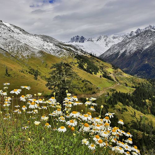 Huser Plateau