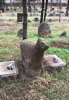 Karakoyunlu Koç Başlı Açık Hava Müzesi