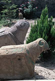 Karakoyunlu Koç Başı Freiluftmuseum