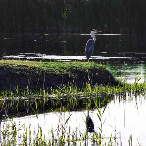 The Aras Bird Sanctuary