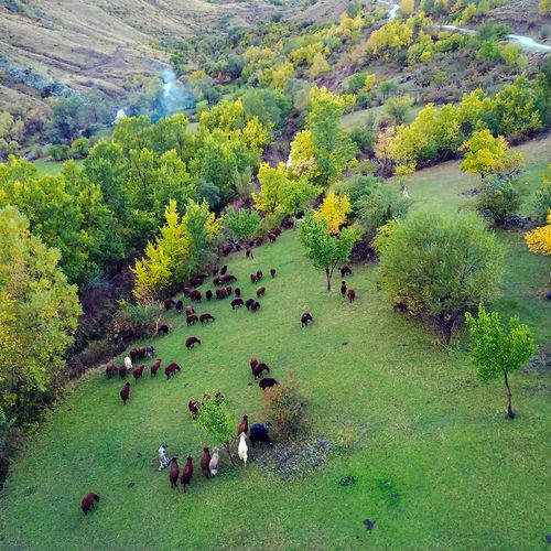 Üçkaya Valley