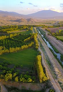 İrem-Weinberge