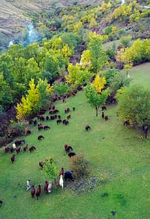 Üçkaya Vadisi (Drei-Felsen-Tal)