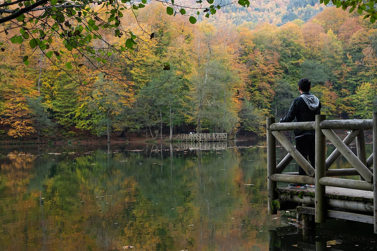 Yedigöller National Park