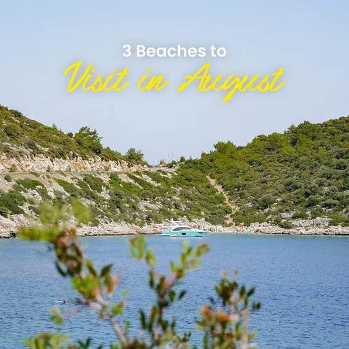 Instagram Post
