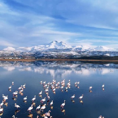 kayseri