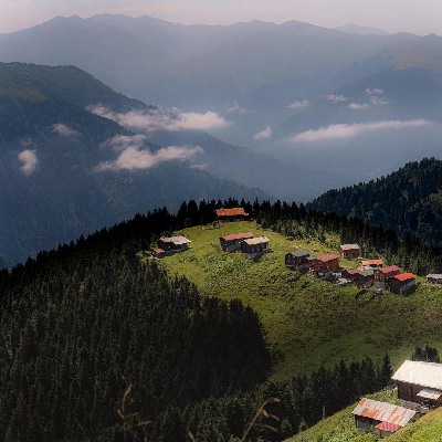rize