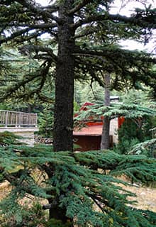 Kızıldağ Nature Park