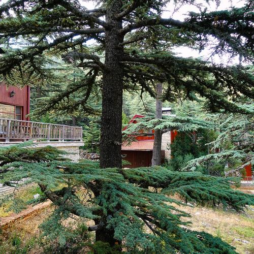 Kızıldağ Naturpark