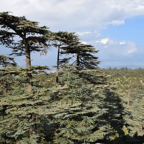 Kızıldağ-Nationalpark