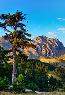 Dedegöl Mountain