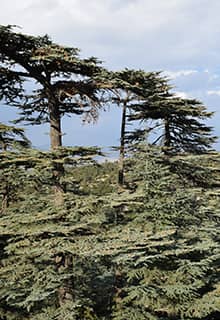 Kızıldağ National Park