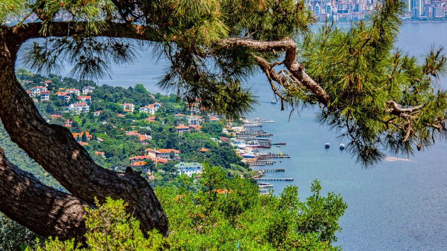 Büyükada