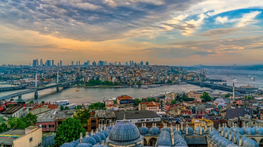 شاخ طلایی استانبول