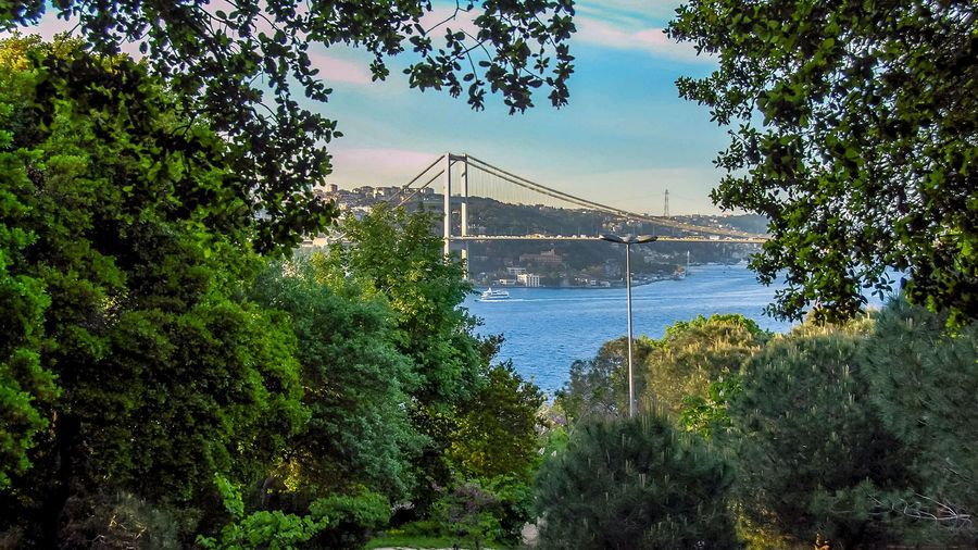 درختستان فِتحی پاشا