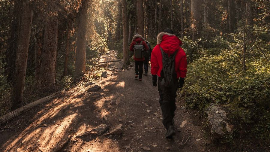 Trekking-Hiking