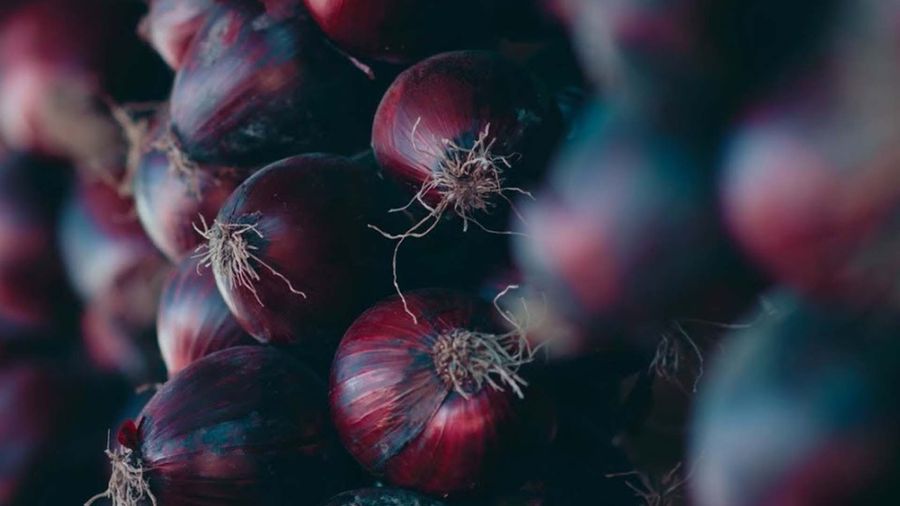 Kapıdağ Onion