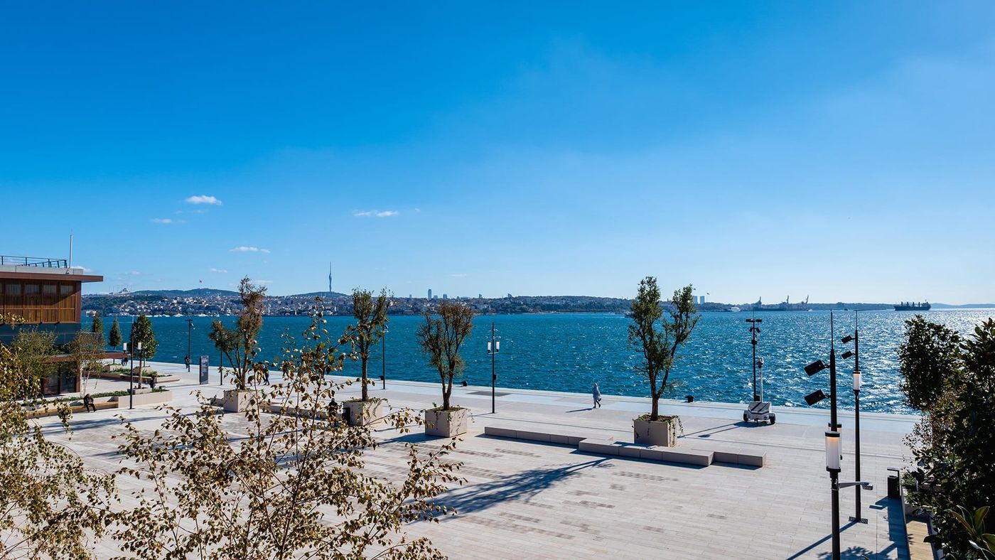 Content Image